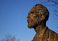 Deluxe Drivers : Van Gogh in Provence