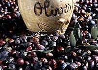 Deluxe Drivers : Shopping in Provence